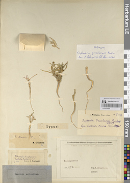 LE 01070918