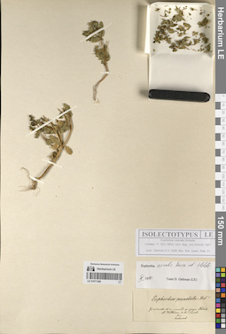 LE 01071366