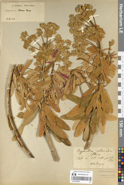 LE 01070926