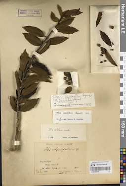 LE 01225315