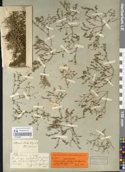 LE 01225301