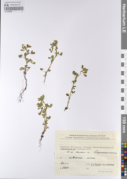 LE 01208828