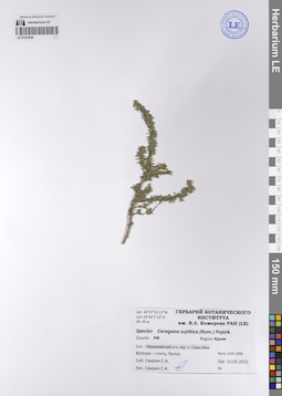 LE 01242609