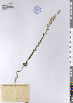 LE 01200288