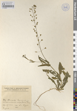 LE 01206932