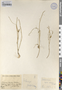 LE 01207017