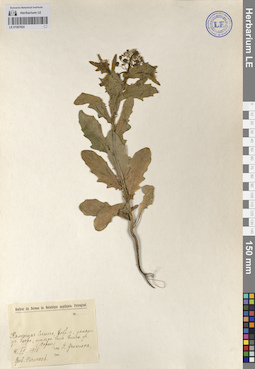 LE 01207024