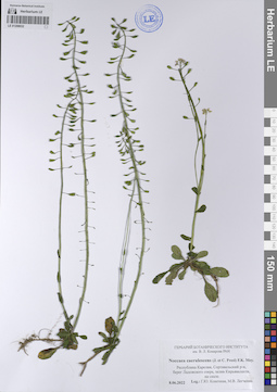 LE 01208032