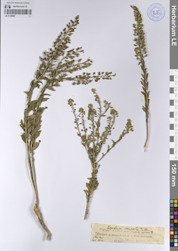 LE 01208067