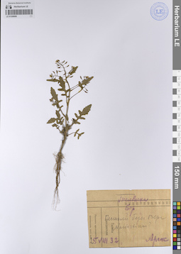 LE 01208069