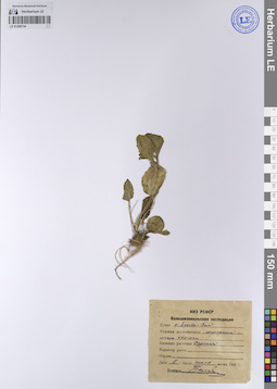 LE 01208734