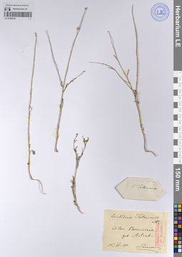LE 01208736