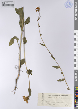LE 01208901