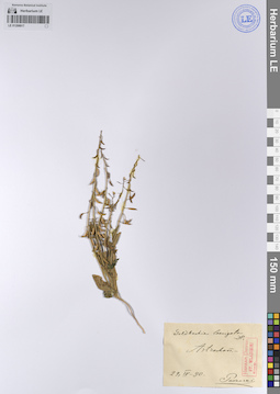 LE 01208917
