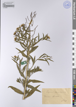 LE 01208921