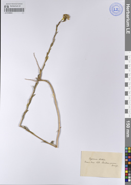 LE 01208923