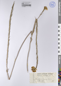 LE 01208926