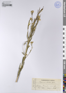 LE 01208927