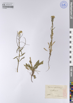 LE 01208935