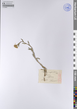 LE 01208938