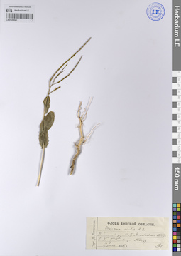 LE 01208943