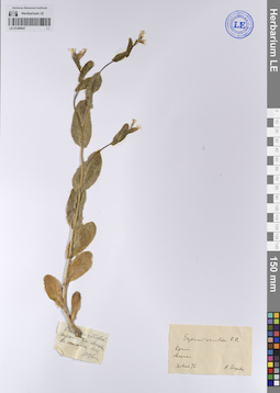 LE 01208947