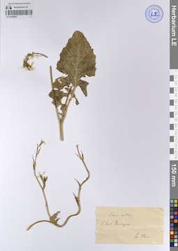 LE 01208949