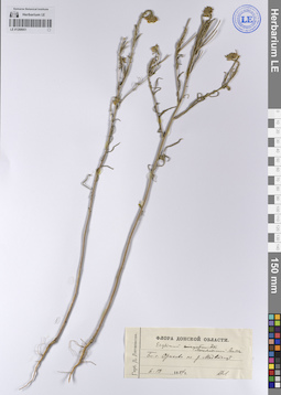 LE 01208951