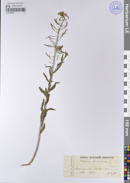 LE 01208954