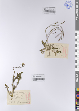 LE 01208957