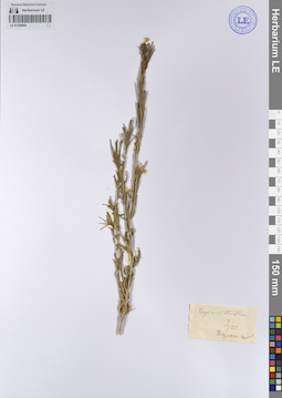 LE 01208960