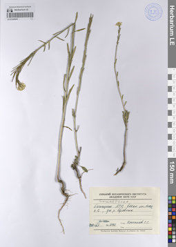 LE 01226323