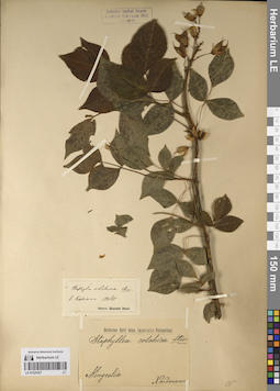 LE 01225327