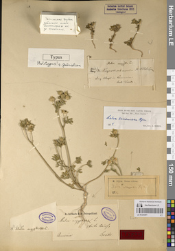 LE 01225381