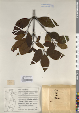 LE 01233014