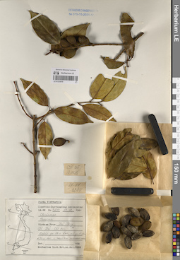LE 01233070