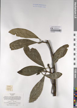 LE 01233087