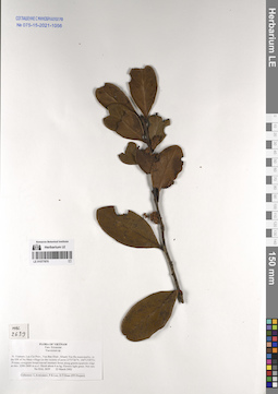 LE 01077870
