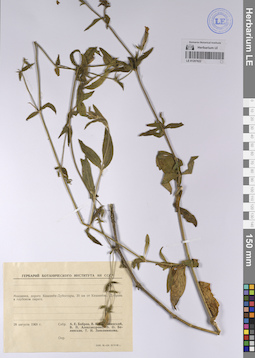 LE 01207622