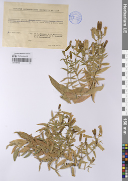 LE 01207645