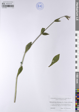 LE 01177901