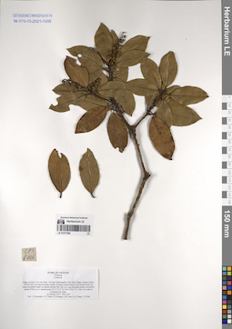 LE 01077882