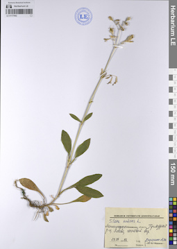 LE 01177942