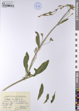 LE 01177943
