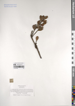 LE 01077893