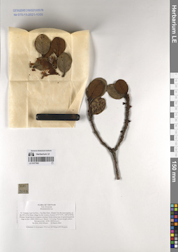 LE 01077902