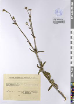 LE 01207660