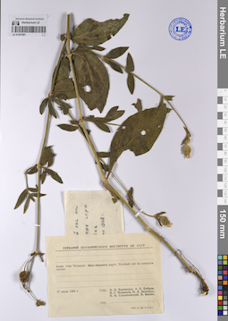 LE 01207881