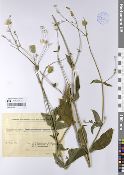 LE 01207672