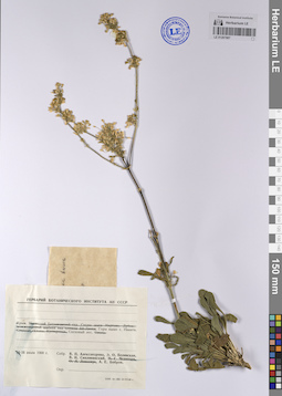 LE 01207887